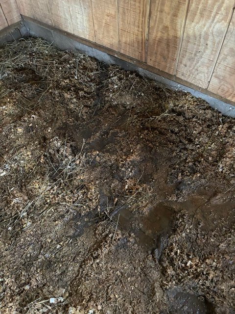 Photo — May 9 2026