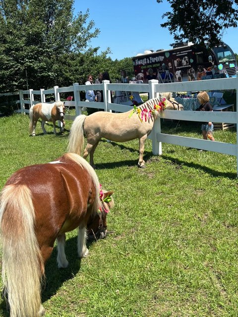 Photo — June 15 2026