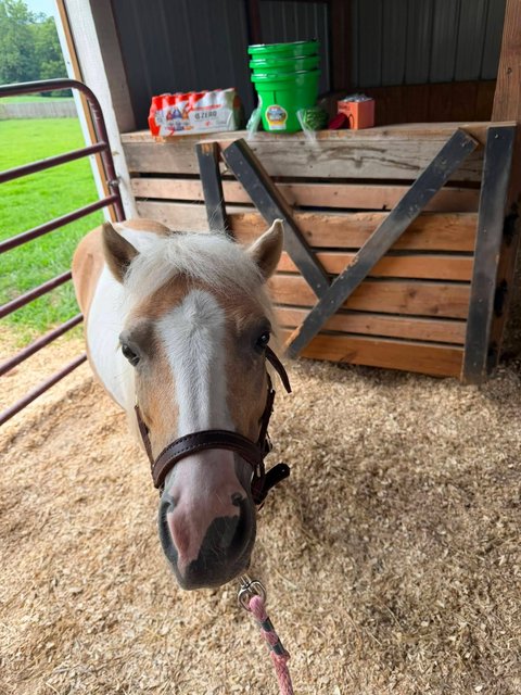 Photo — July 30 2026