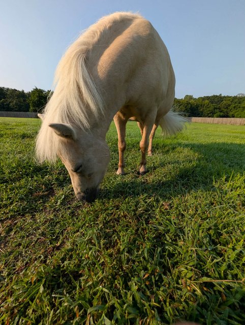 Photo — August 8 2026