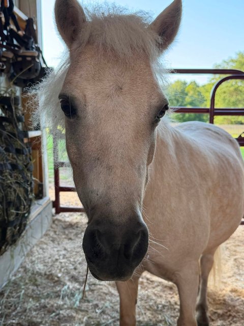 Photo — August 13 2026