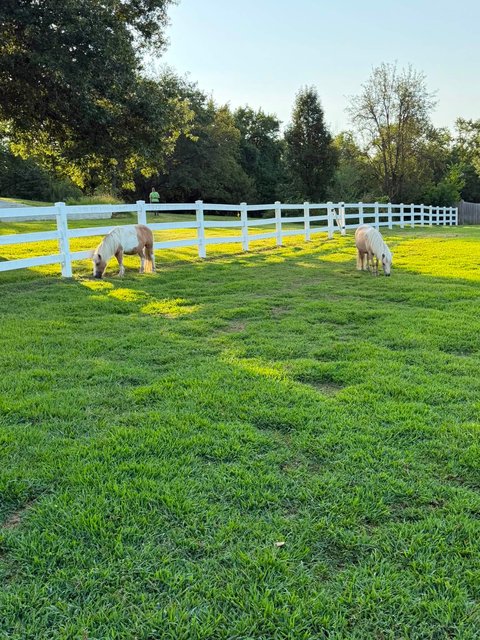 Photo — August 13 2026