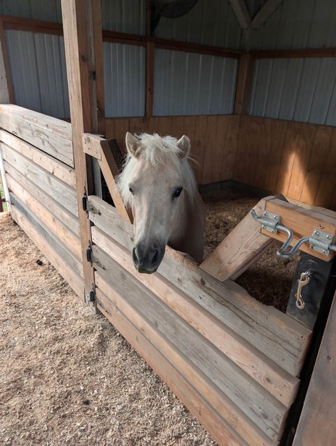 Photo — August 15 2026