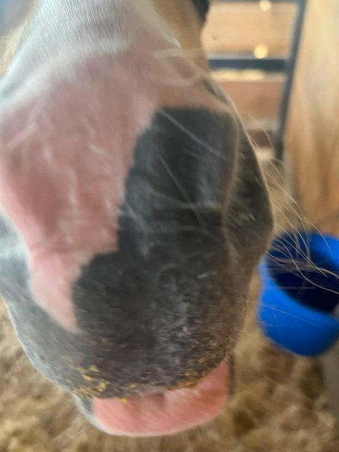 Photo — August 15 2026