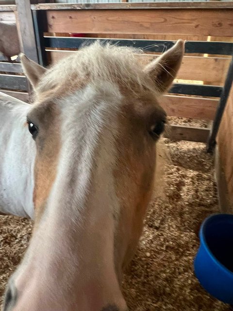 Photo — August 15 2026