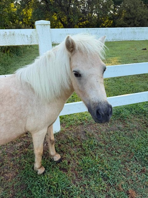 Photo — August 20 2026