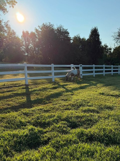 Photo — August 20 2026