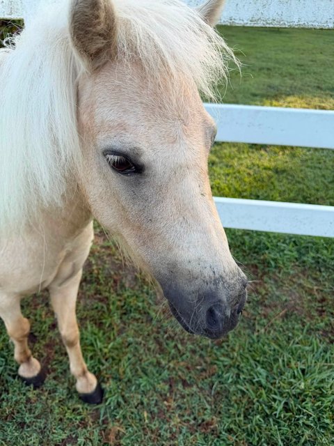Photo — August 20 2026