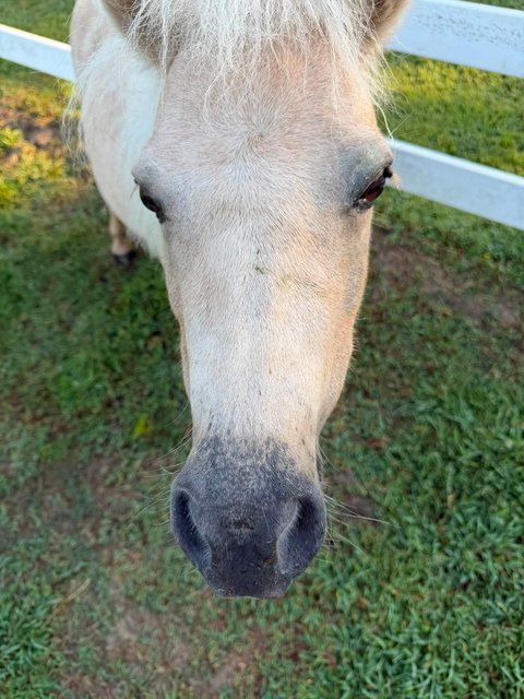 Photo — August 20 2026