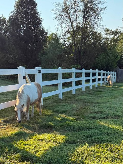 Photo — August 20 2026