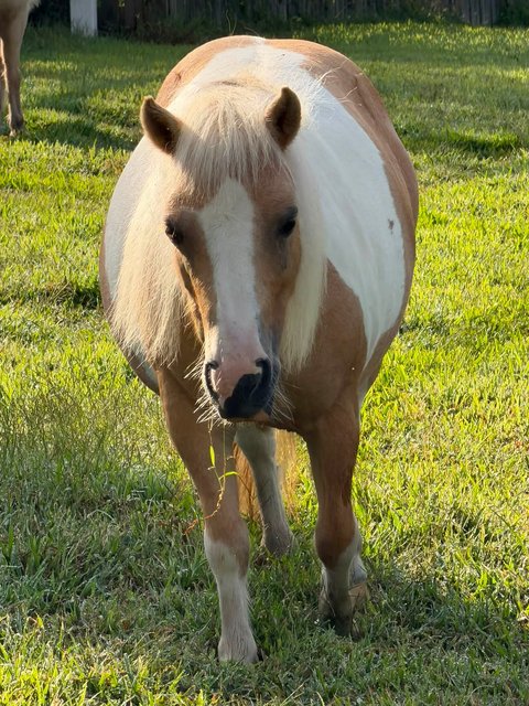 Photo — August 21 2026