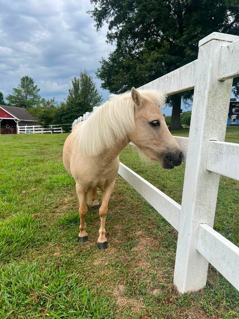 Photo — August 22 2026