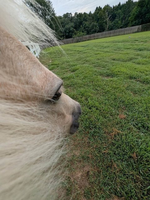 Photo — August 22 2026