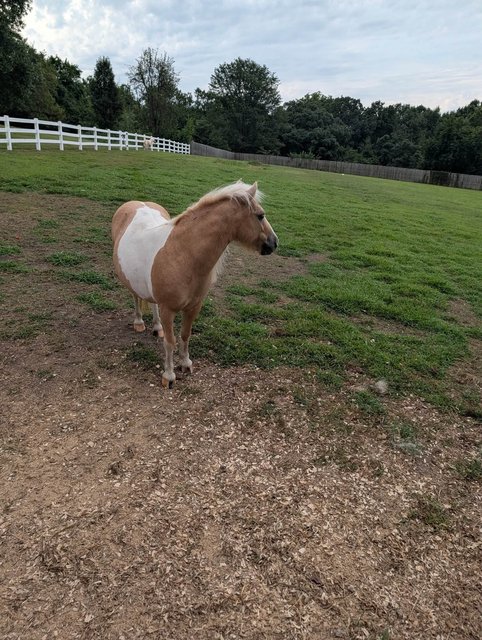 Photo — August 22 2026