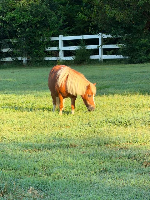Photo — August 27 2026