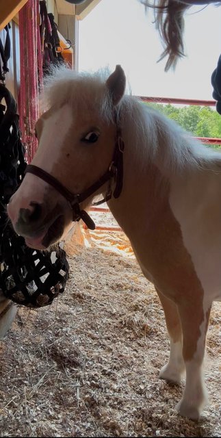 Photo — August 27 2026