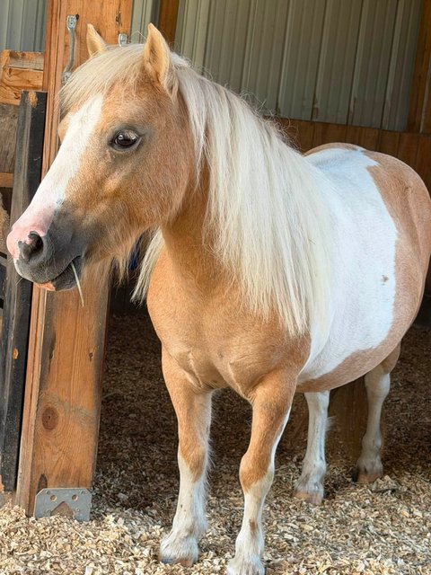 Photo — August 29 2026