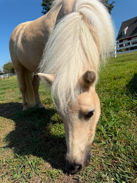 Photo — August 29 2026