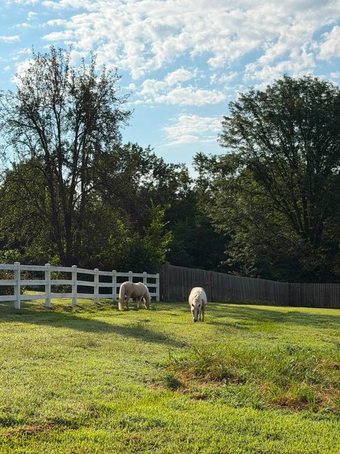 Photo — August 30 2026