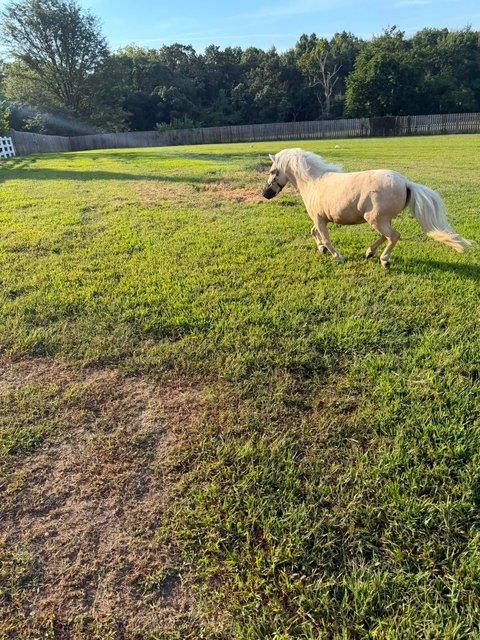Photo — August 30 2026