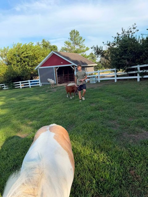 Photo — August 30 2026