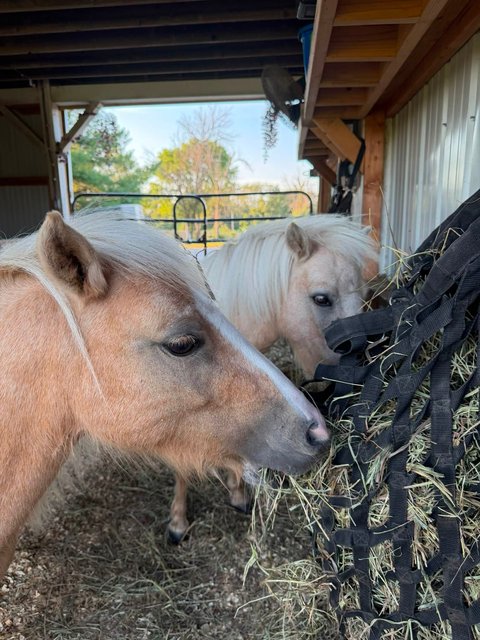 Photo — August 31 2026
