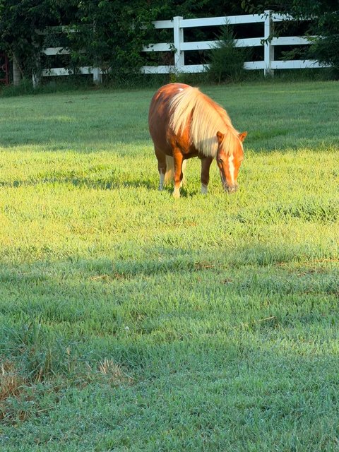 Photo — August 31 2026