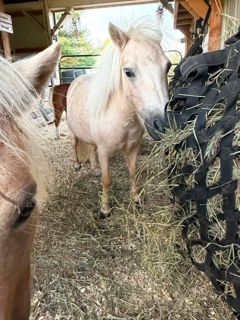 Photo — August 31 2026