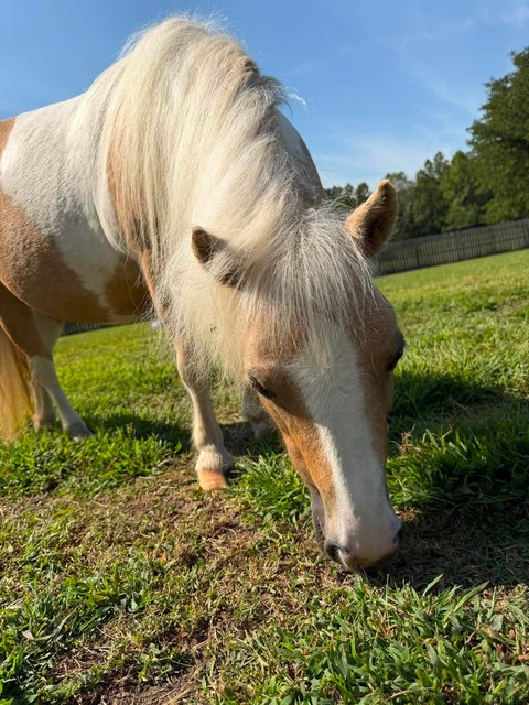 Photo — August 31 2026