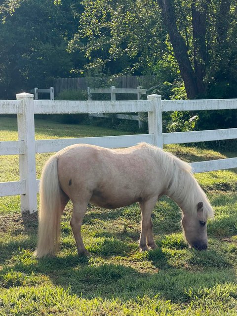 Photo — August 31 2026