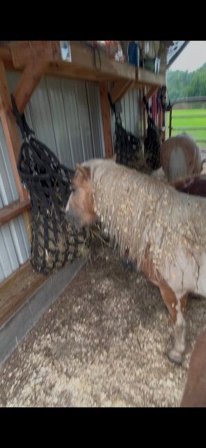 Photo — August 31 2026