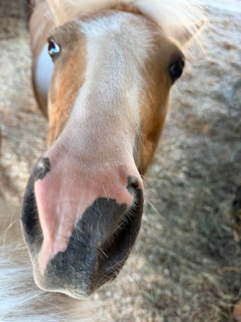 Photo — September 3 2026