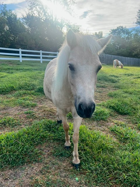 Photo — September 5 2026