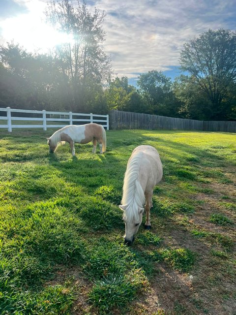 Photo — September 5 2026