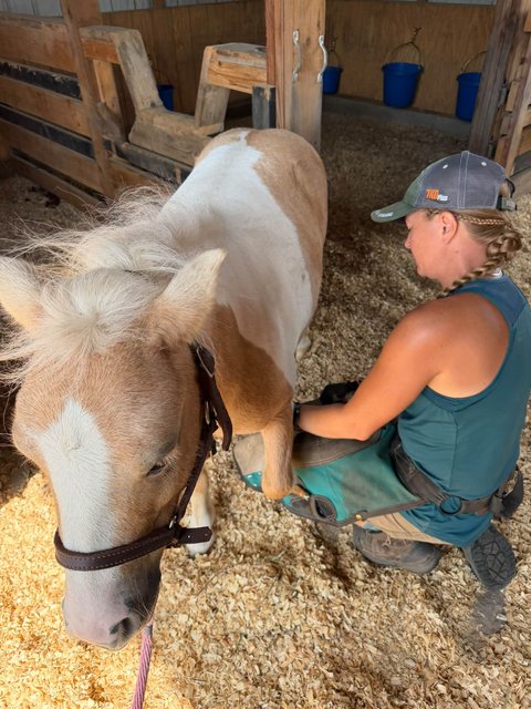 Photo — September 9 2026