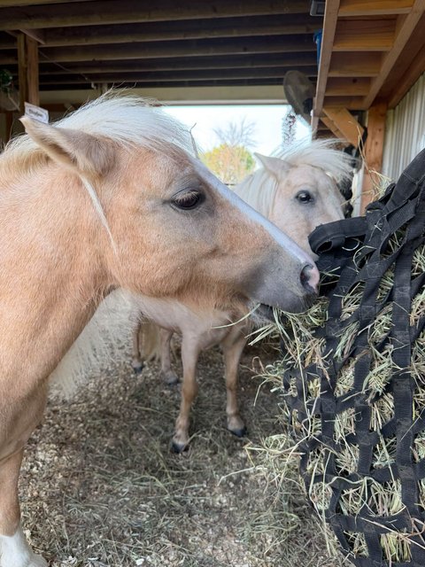 Photo — September 9 2026