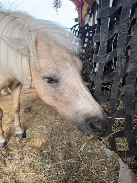 Photo — September 11 2026