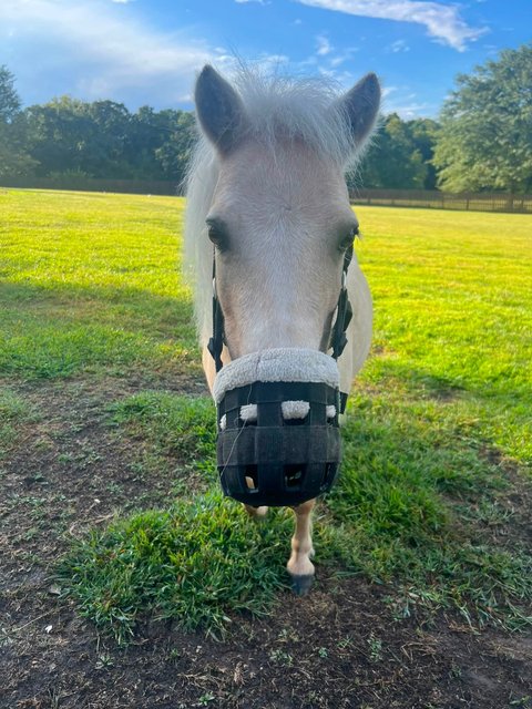 Photo — September 12 2026
