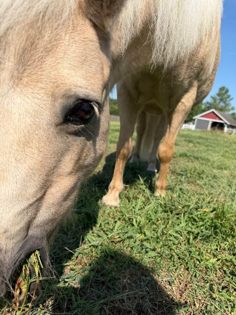 Photo — September 13 2026
