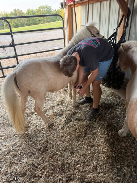 Photo — September 14 2026