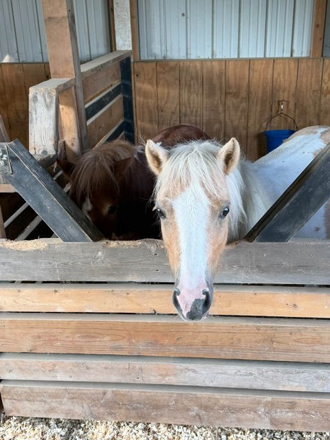 Photo — September 18 2026