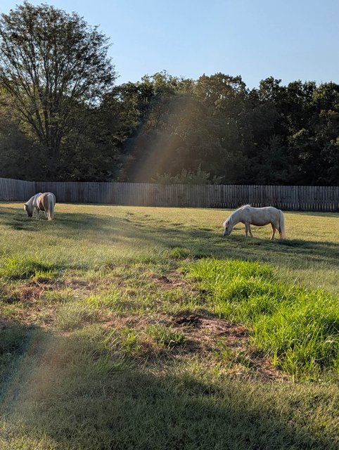 Photo — September 19 2026
