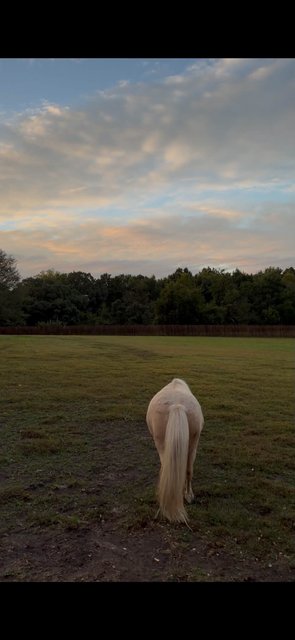 Photo — October 2 2026