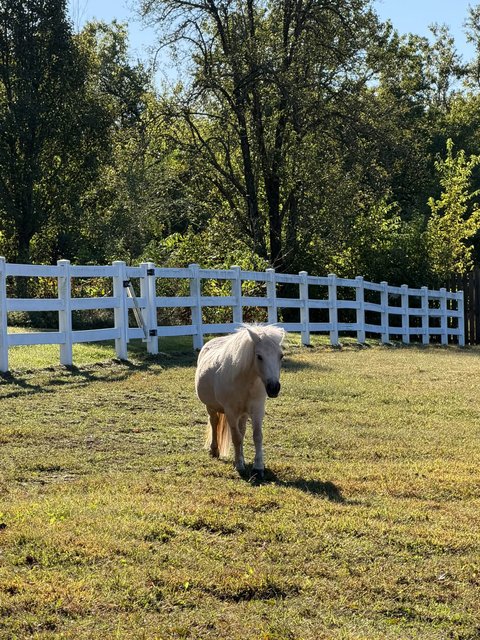 Photo — October 2 2026