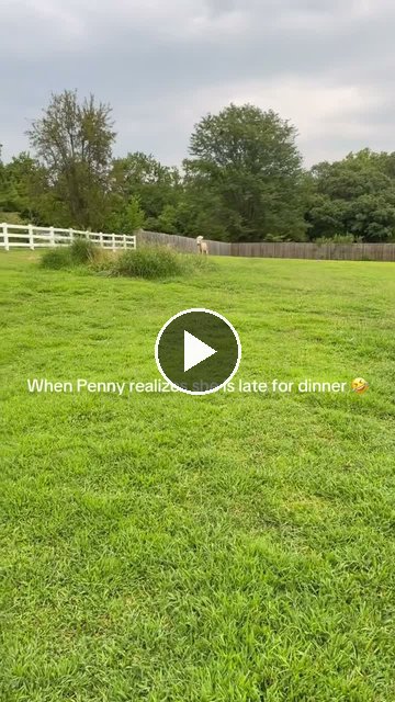 Video — July 23 2026