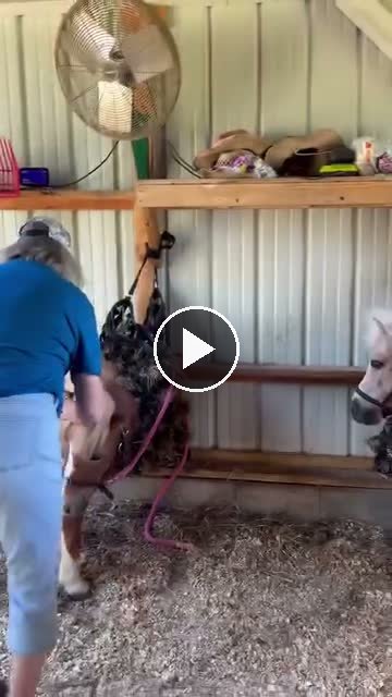 Video — June 14 2026