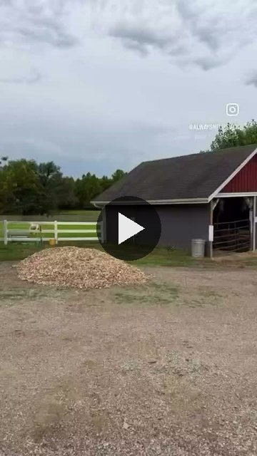Video — August 8 2026