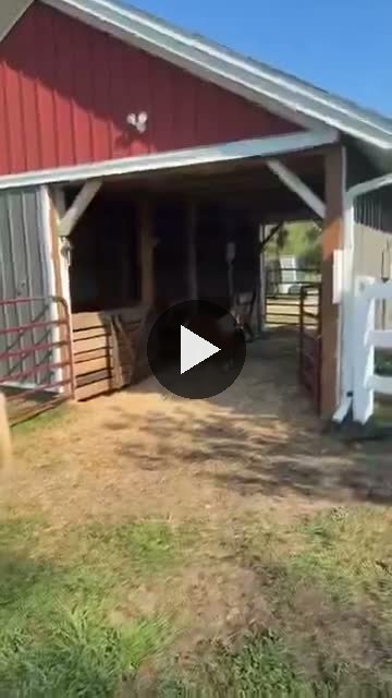 Video — August 2 2026