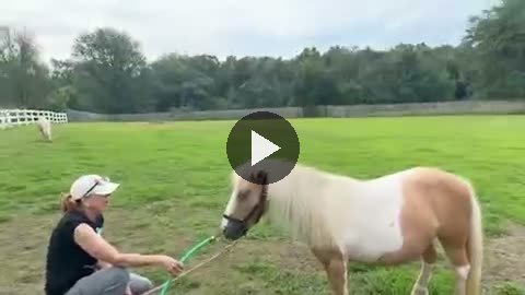 Video — August 14 2026