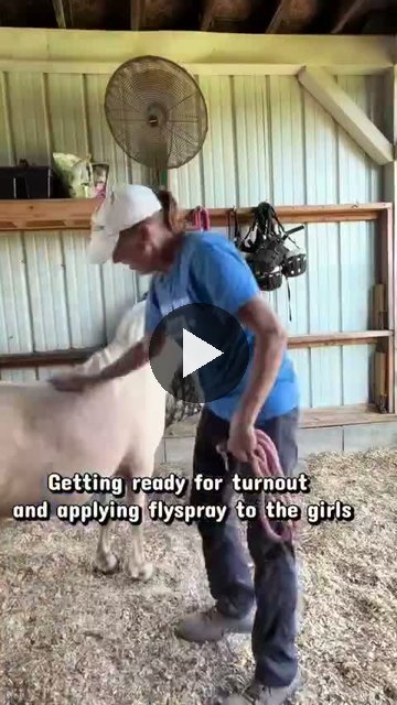 Video — August 23 2026